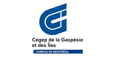 CEGEP COLLEGE